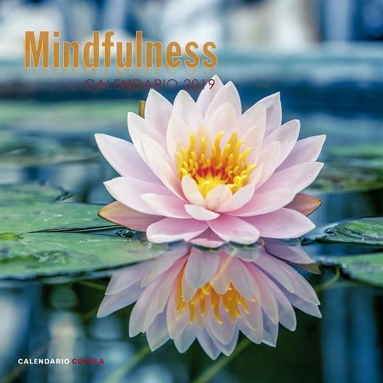 MINDFULNESS CALENDARIO 2019 | 9788448024598 | VVAA