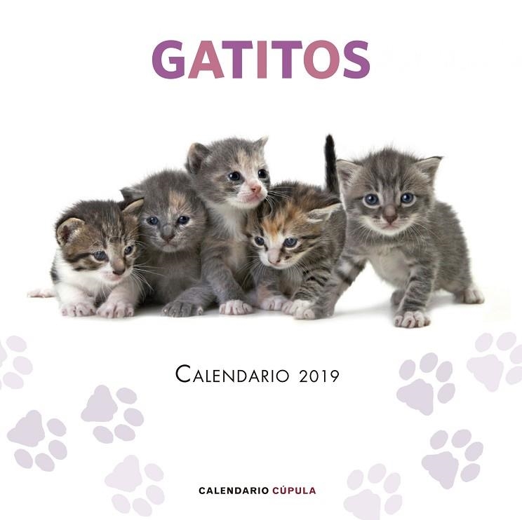 GATITOS CALENDARIO 2019 | 9788448024659 | VVAA