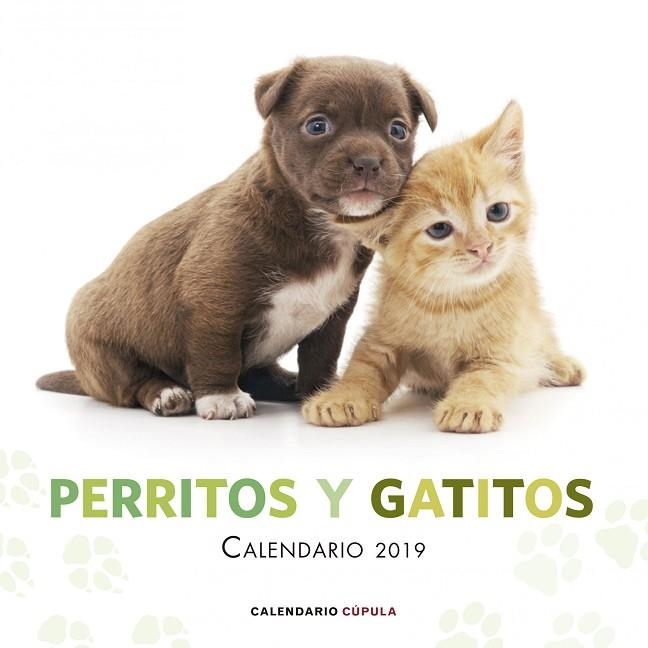 PERRITOS Y GATITOS CALENDARIO 2019 | 9788448024666 | VVAA