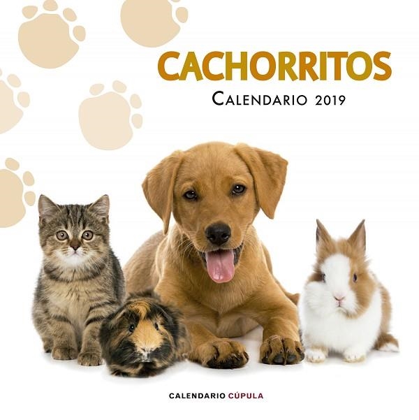 CACHORRITOS CALENDARIO 2019 | 9788448024673 | VVAA