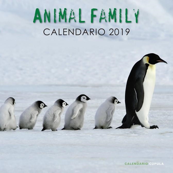 ANIMAL FAMILY CALENDARIO 2019 | 9788448024703 | VVAA