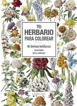 MI HERBARIO PARA COLOREAR | 9788416984749 | VVAA