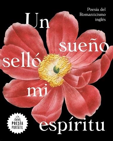 UN SUEÑO SELLO MI ESPIRITU | 9788439735328 | VARIOS AUTORES