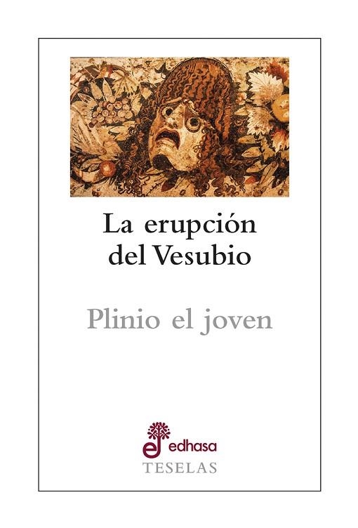 LA ERUPCION DEL VESUBIO | 9788435023191 | PLINIO EL JOVEN