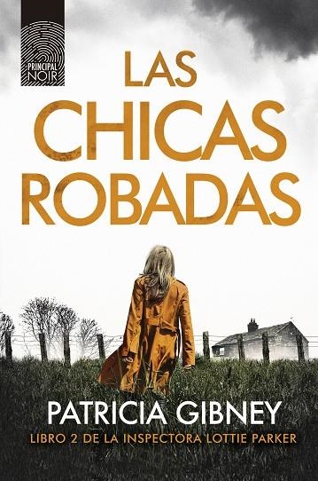 LAS CHICAS ROBADAS | 9788417333362 | Patricia Gibney