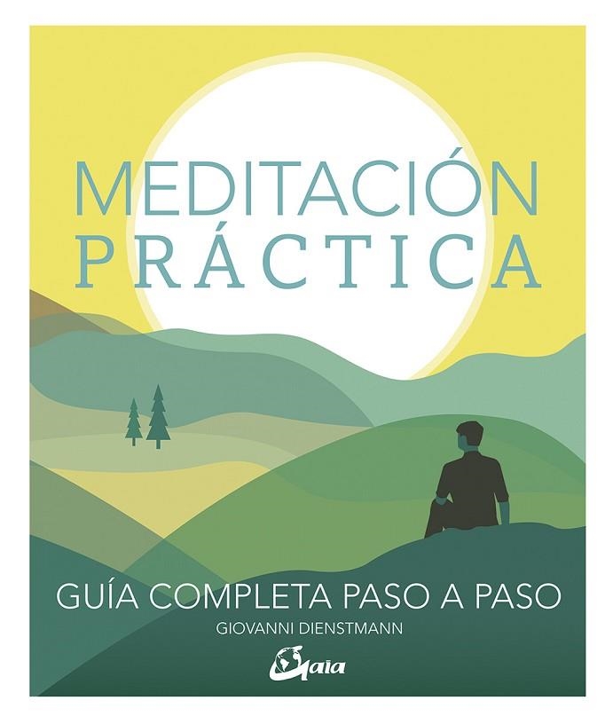 MEDITACION PRACTICA | 9788484457770 | GIOVANNI DIENSTMANN