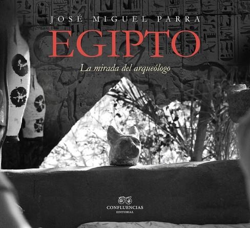 EGIPTO LA MIRADA DEL ARQUEOLOGO | 9788494931130 | JOSE MIGUEL PARRA