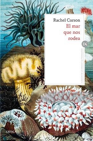 EL MAR QUE NOS RODEA | 9788491991069 | RACHEL CARSON