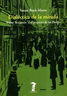 DIALECTICA DE LA MIRADA | 9788477745792 | BUCK-MORSS, SUSAN