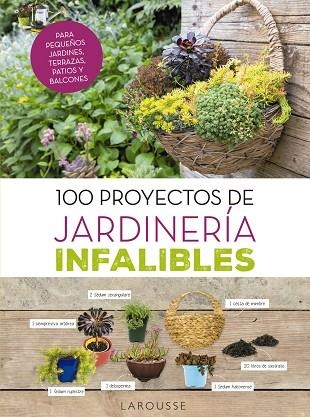 100 PROYECTOS DE JARDINERIA INFALIBLES | 9788416984725 | CATHERINE DELVAUX