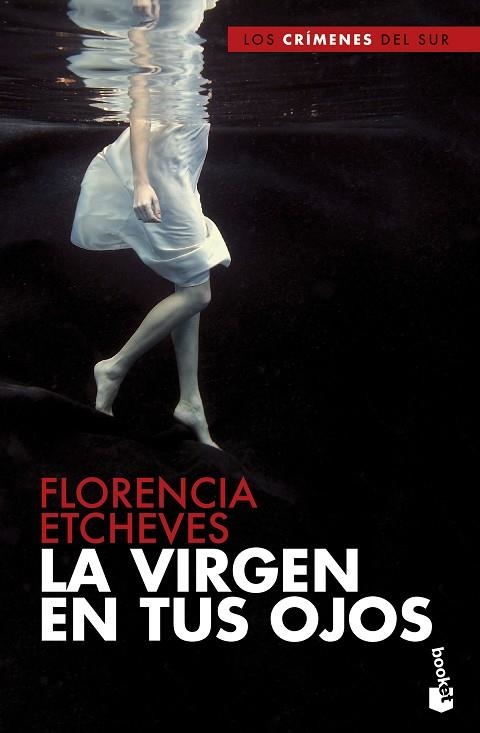 LA VIRGEN EN TUS OJOS | 9788408210399 | FLORENCIA ETCHEVES