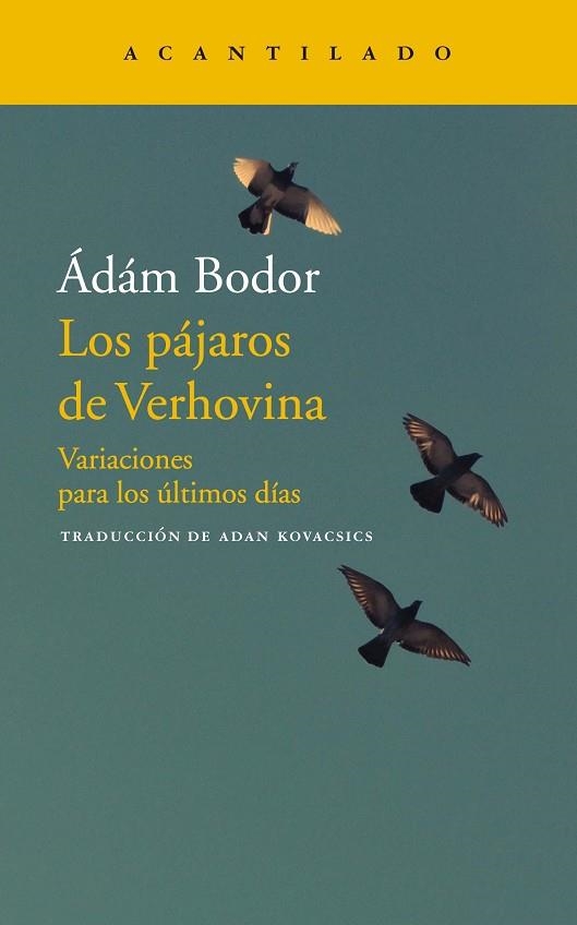 LOS PAJAROS DE VERHOVINA | 9788417346706 | ADAM BODOR