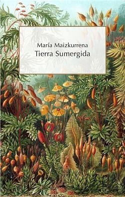 TIERRA SUMERGIDA | 9788416575442 | MARIA MAIZKURRENA