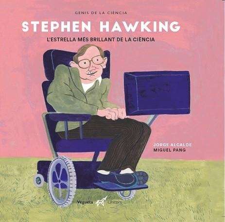 STEPHEN HAWKING L'ESTRELLA MES BRILLANT DE LA CIENCIA | 9788417137397 | JORGE ALCALDE & MIGUEL PANG