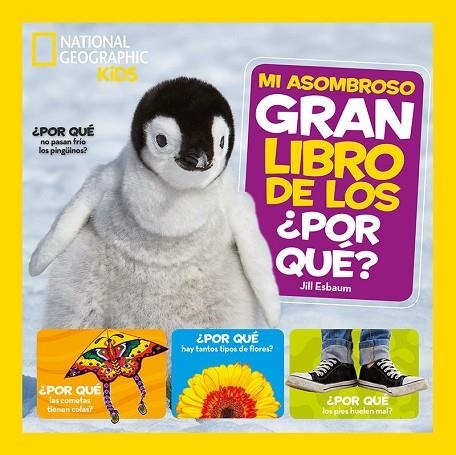 MI ASOMBROSO GRAN LIBRO DE LOS POR QUE | 9788482987217 | ESBAUM JILL