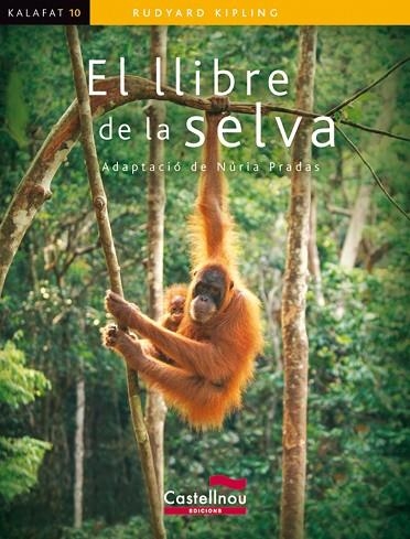 EL LLIBRE DE LA SELVA | 9788498043136 | RUDYARD KIPLING & NURIA PRADAS