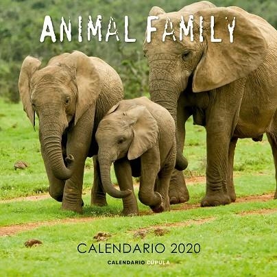 CALENDARIO ANIMAL FAMILY 2020 | 9788448026189 | VVAA