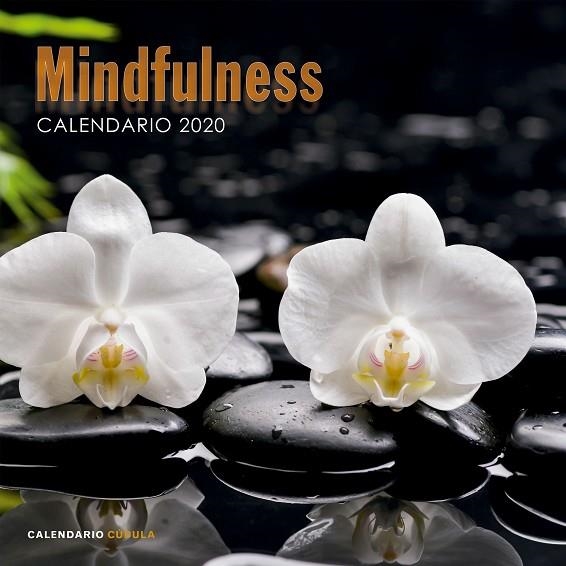 CALENDARIO MINDFULNESS 2020 | 9788448026110 | VVAA