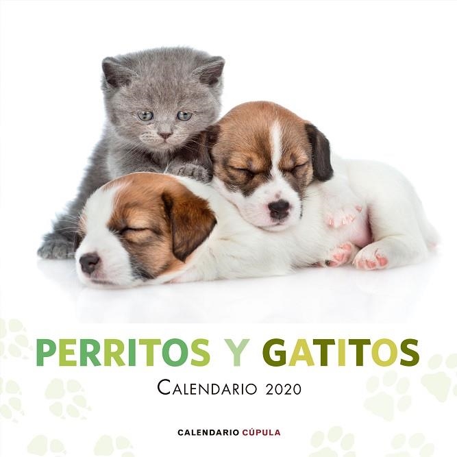 CALENDARIO PERRITOS Y GATITOS 2020 | 9788448026172 | VVAA