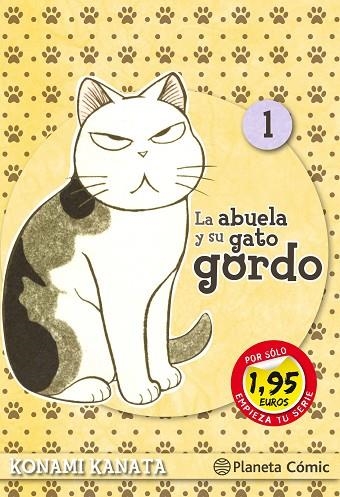 LA ABUELA Y SU GATO GORDO 01 | 9788491741015 | Konami Kanata