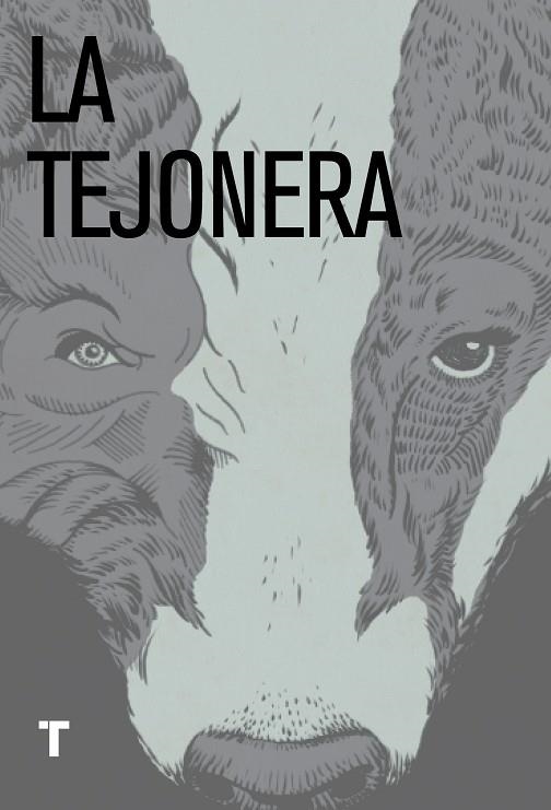 LA TEJONERA | 29788416142033 | CYNAN JONES