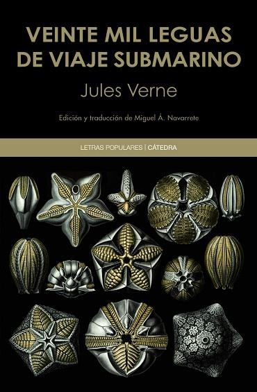 VEINTE MIL LEGUAS DE VIAJE SUBMARINO | 9788437640099 | Jules Verne