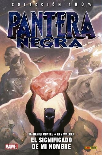 PANTERA NEGRA 02. EL SIGNIFICADO DE MI NOMBRE | 9788491679592 | KEV WALKER - TA-NEHISI COATES