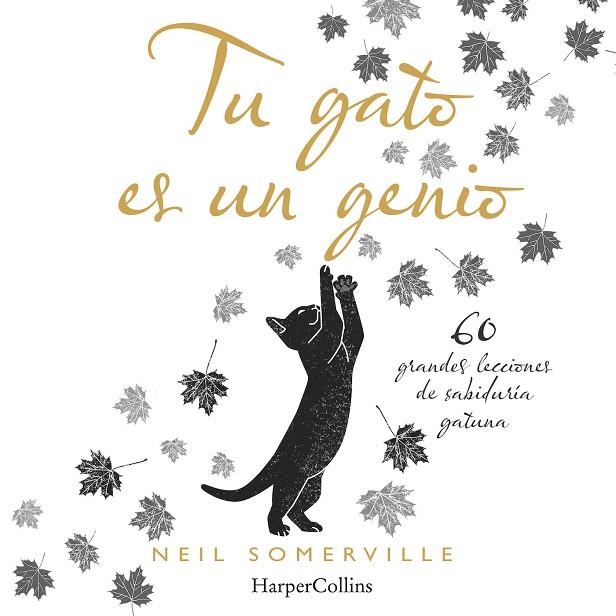 TU GATO ES UN GENIO 60 GRANDES LECCIONES DE SABIDURIA GATUNA | 9788491394211 | NEIL SOMERVILLE