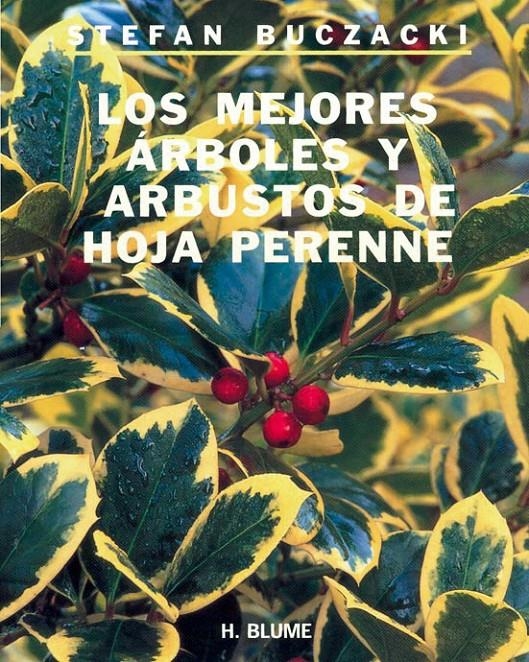 LOS MEJORES ARBOLES Y ARBUSTOS DE HOJA PERENNE | 9788489840041 | BUCZACKI, STEFAN