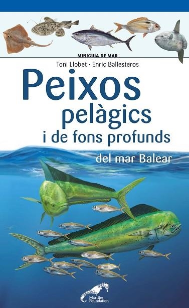 PEIXOS PELAGICS I DE FONS PROFUNDS DEL MAR BALEAR | 9788490349397 | TONI LLOBET FRANÇOIS & ENRIC BALLESTEROS SAGARRA