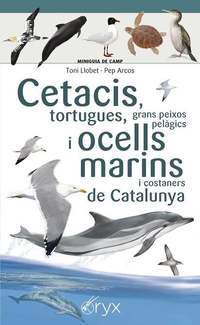 CETACIS TORTUGUES GRANS PEIXOS PELAGICS I OCELLS MARINS DE CATALUNYA | 9788490349441 | TONI LLOBET FRANÇOIS & PEP ARCOS XX