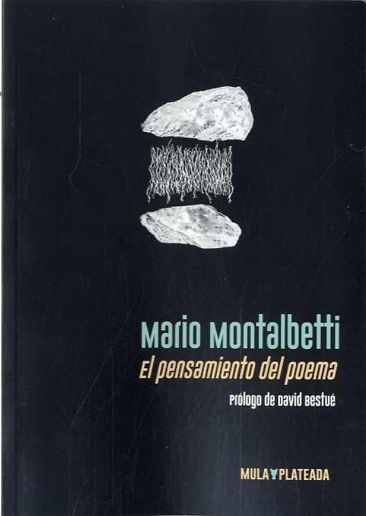 EL PENSAMIENTO DEL POEMA | 9788412138016 | MARIO MONTALBETTI