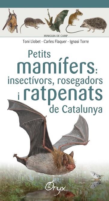 PETITS MAMIFERS INSECTIVORS ROSEGADORS I RATPENATS DE CATALUNYA | 9788490348956 | VVAA