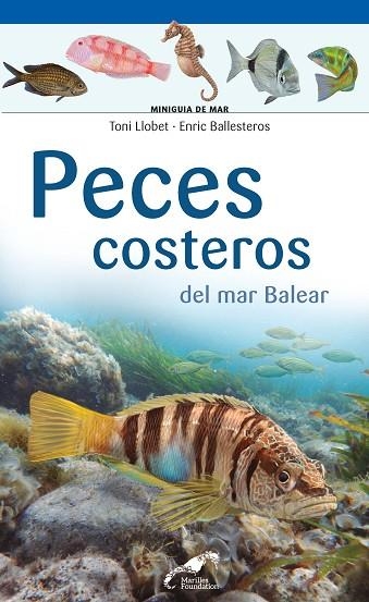 PECES COSTEROS DEL MAR BALEAR | 9788416918768 | VVAA