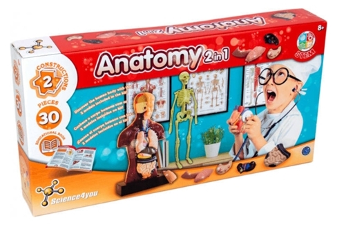 ANATOMY 2 IN 1 | 5600983612952 | SCIENCE4YOU