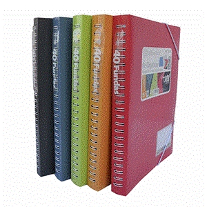 CAREPTA 40 FUNDES RE-ORGANIZER COLORS VARIATS | 8435258154182 | OFFICE BOX