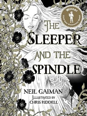 THE SLEEPER AND THE SPINDER | 9781408859650 | NEIL GAIMAN