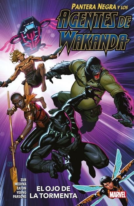 PANTERA NEGRA Y LOS AGENTES DE WAKANDA 01 EL OJO DE LA TORMENTA | 9788413345086 | JIM ZUB