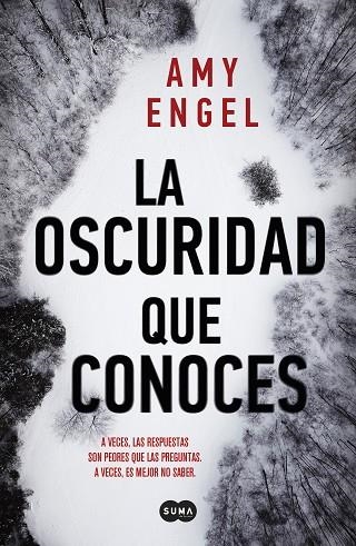 LA OSCURIDAD QUE CONOCES | 9788491294108 | AMY ENGEL