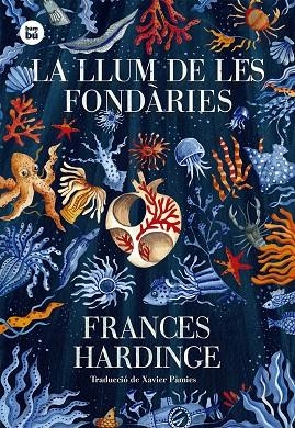 LA LLUM DE LES FONDARIES | 9788483436035 | FRANCES HARDINGE