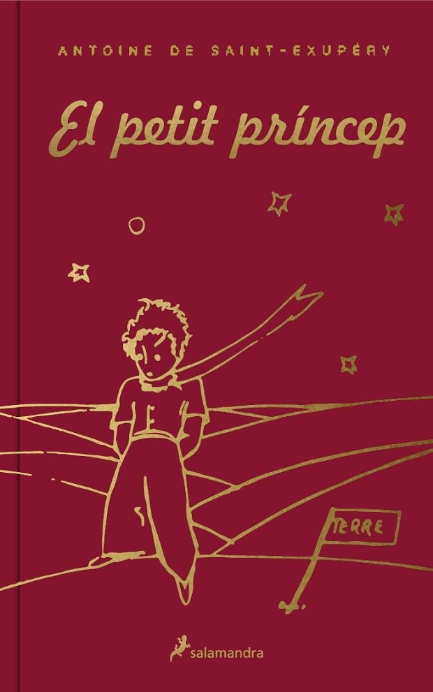 EL PETIT PRINCEP EDICIÓ AMB ESTOIG | 9788418174223 | ANTOINE DE SAINT-EXUPERY