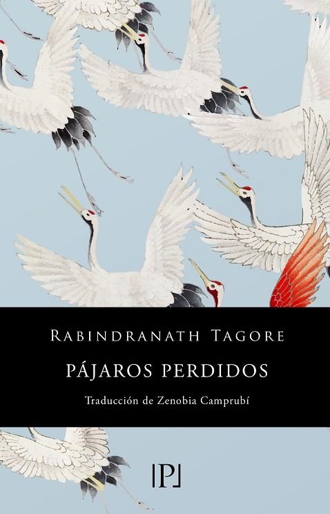 PÁJAROS PERDIDOS | 9788418082467 | RABINDRANATH TAGORE