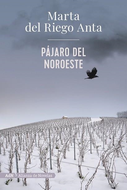 PAJARO DEL NOROESTE | 9788413620558 | MARTA DEL RIEGO