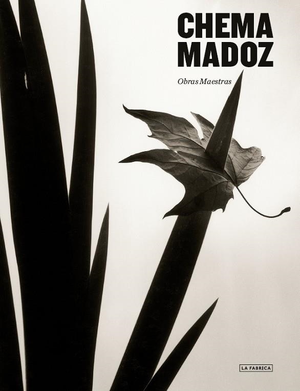 Chema Madoz | 9788417769673 | Chema Madoz