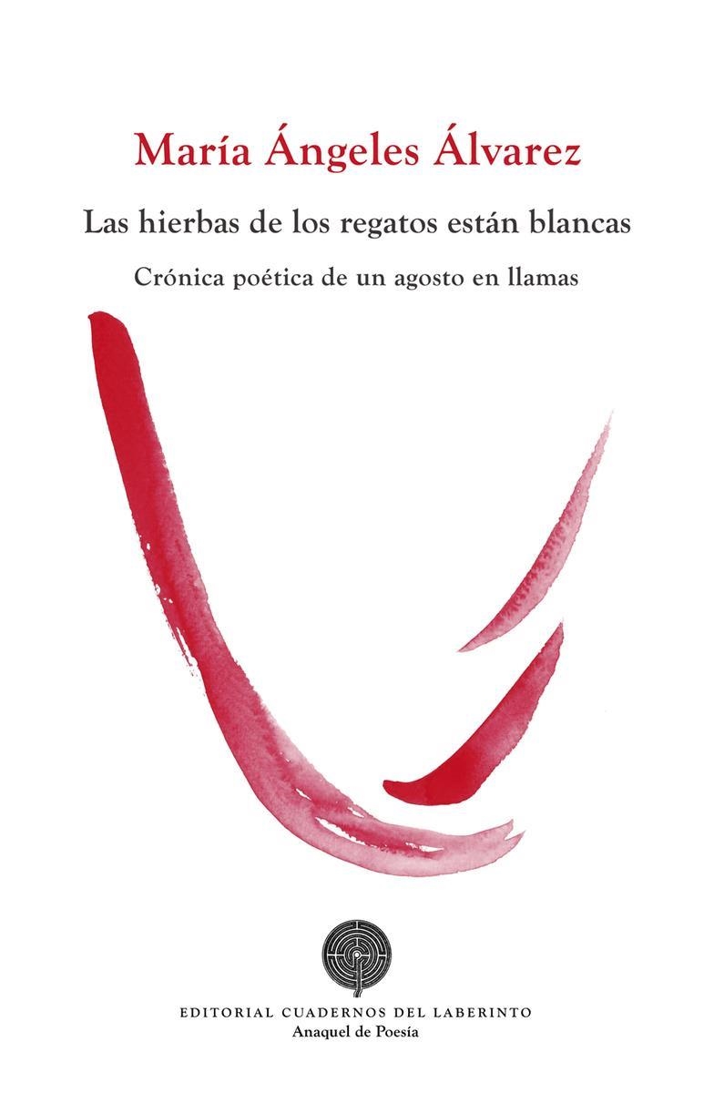 Las hierbas de los regatos están blancas | 9788412207620 | MARIA ANGELES ALVAREZ