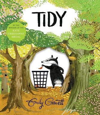 TIDY | 9781447273998 | EMILY GRAVETT