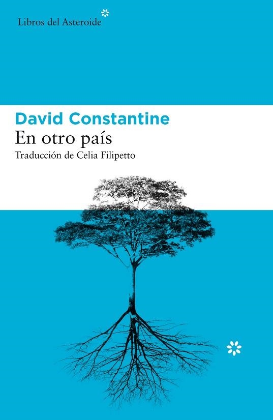 EN OTRO PAÍS | 9788417977016 | DAVID CONSTANTINE