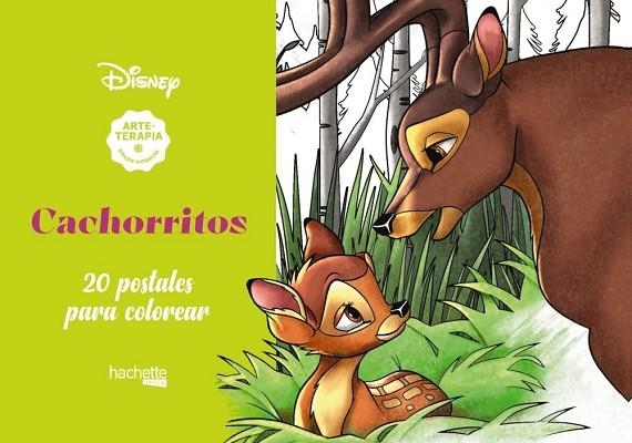 CACHORRITOS DISNEY | 9788417586560 | DISNEY