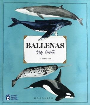 Ballenas vida secreta | 9788412247947 | Rena Ortega