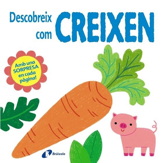 DESCOBREIX COM CREIXEN | 9788499062655 | KERRI-ANN HULME & ALICE-MAY BERMINGHAM & KYLIE HAMLEY